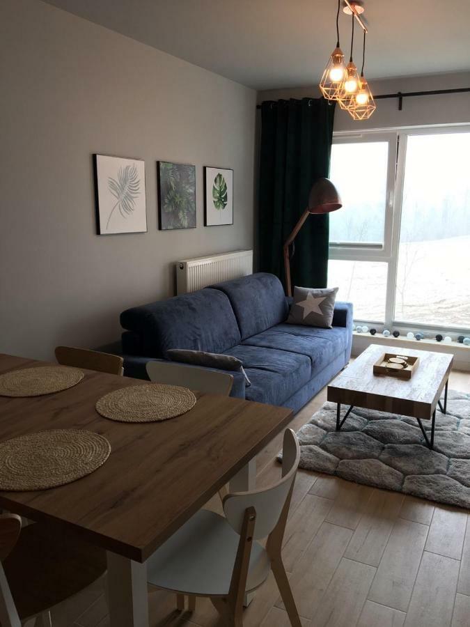 Apartament Nr 16 Шклярська Поремба Екстер'єр фото